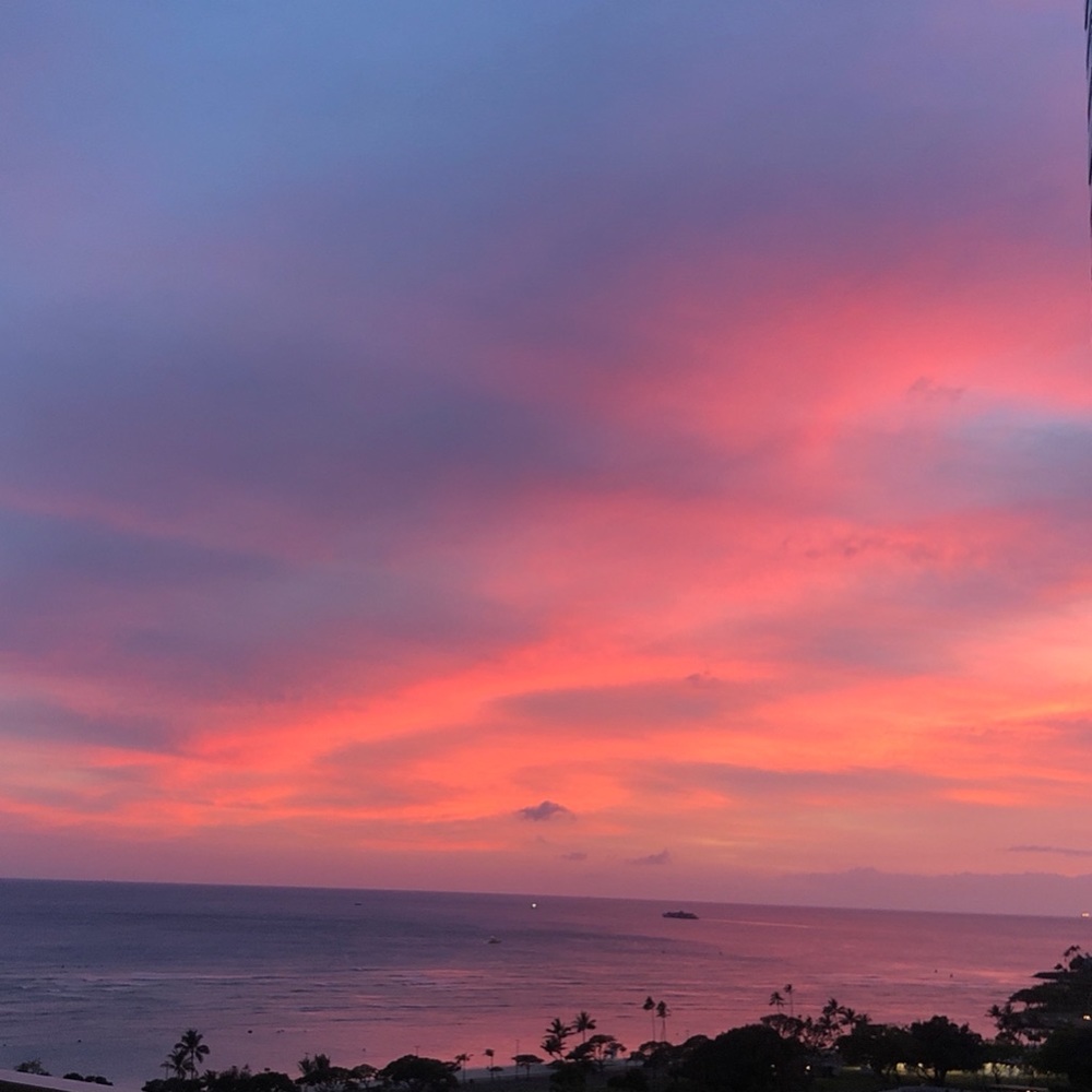 Meet your Posher, Kylie